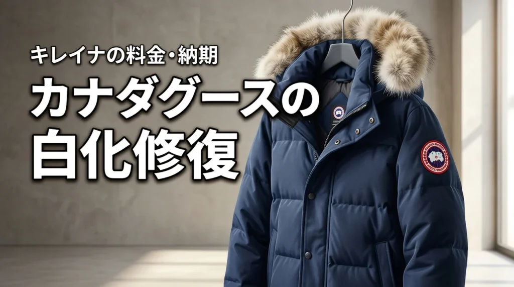 カナダグースの白化はキレイナで直る？気になる料金や納期、デメリットも検証（記事のアイキャッチ画像）